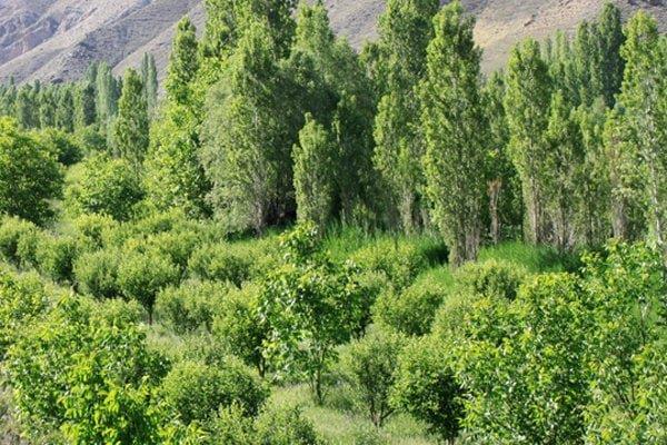 روستای زرین دشت فیروزكوه-meqrRW92ux