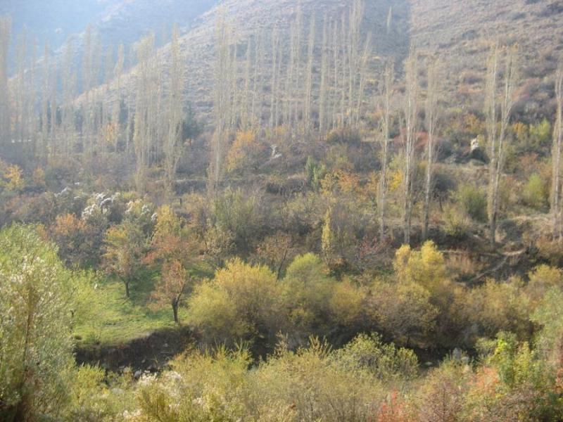روستای جورد رودهن-mkfbHaoKM2