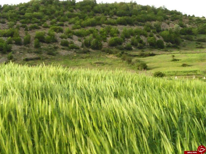 روستای خانسرك-mlGUeNe7kN