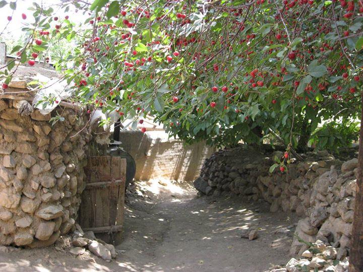 روستای اسپی داران-mlZu9gtBx9