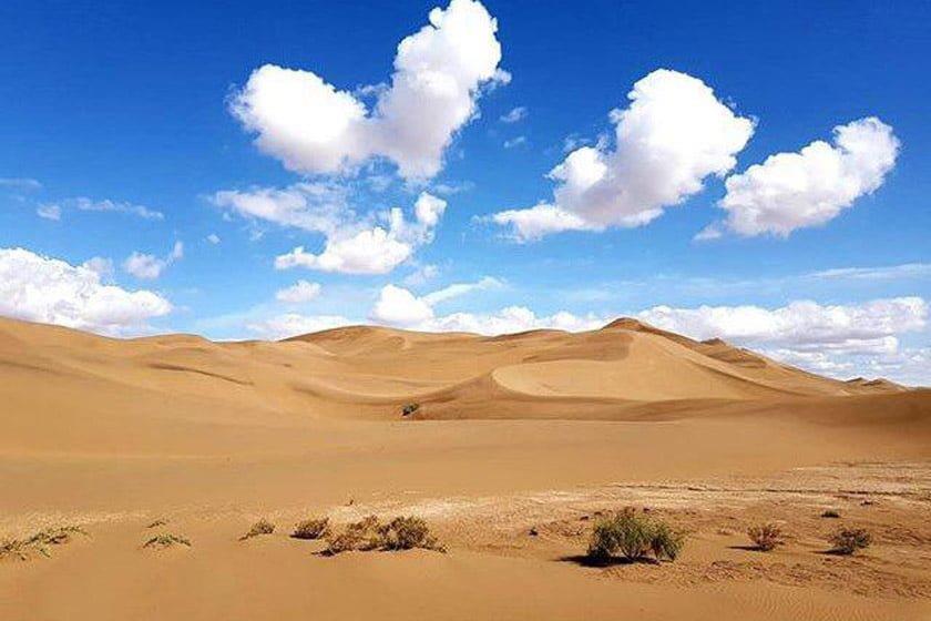 پارك طبیعت گردی نی باد كویر زرین-mpZFMbvnEv