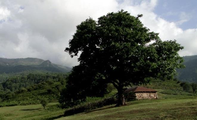 روستای سنگ چال-mtHejr15Mc