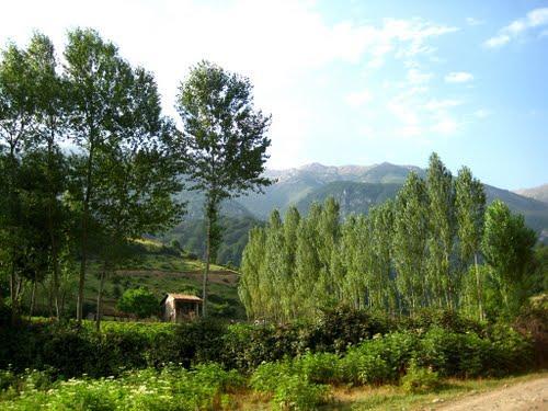 روستای زیارت-mtSFXgpaLW