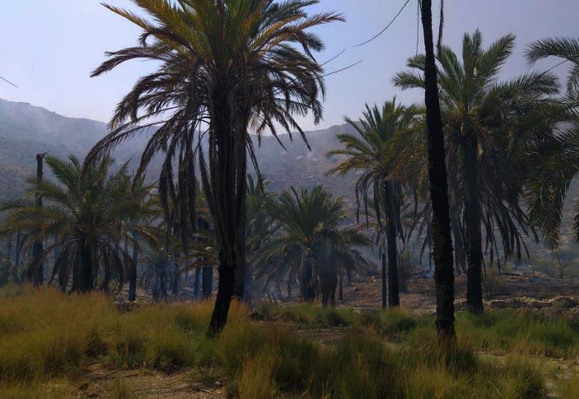 تنگ حنا جم-mz6TBdkw6s
