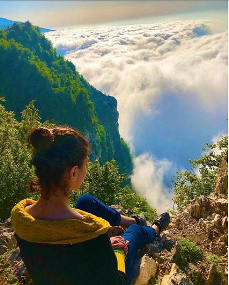 جنگل جهان نما بام استان گلستان-mzT26Z5Ete