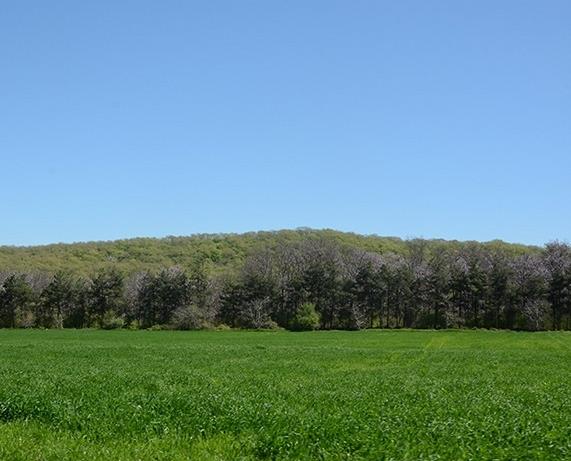 روستای یالو-n130wFciEj