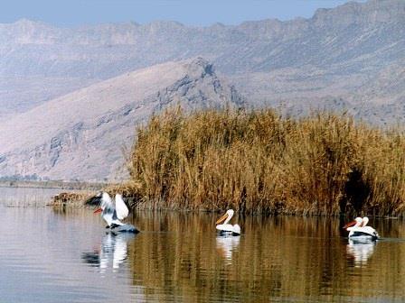 تالاب كانی برازان-n5huY9l6Xf