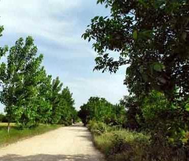 روستای ماماهان-nAD3GVRfv5