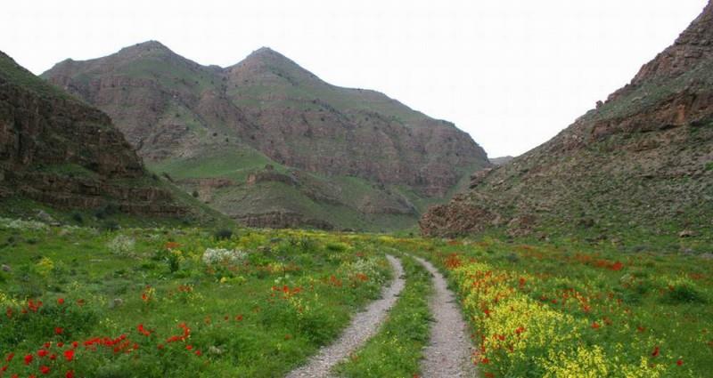 پارك جنگلی چهلمیر-nDfNi72ssD