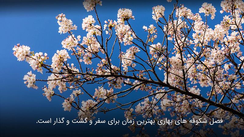 بهترین مقاصد گردشگری برای سفر در بهار-nI9qqOUIsi