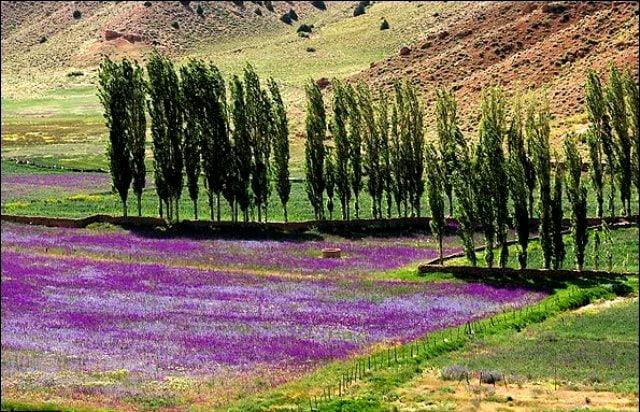 روستای چهارباغ-nKw3o0S9Gl