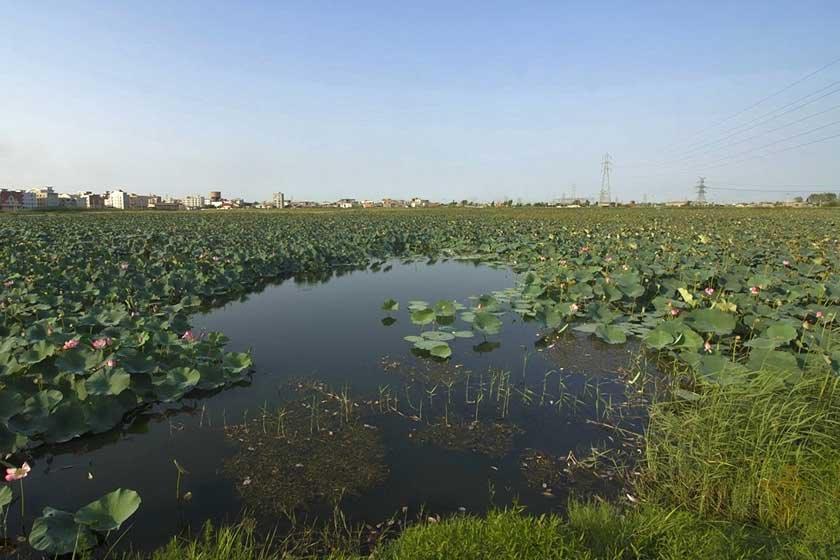 تالاب حیدر كلا بابل-nL8Rj6lqWa