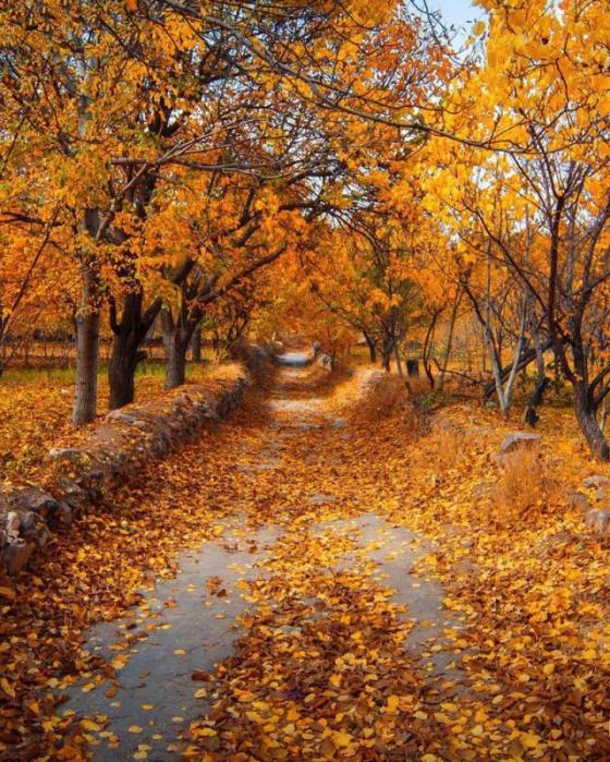 جاهای دیدنی خوانسار در بهار-nRMqCm8CiV