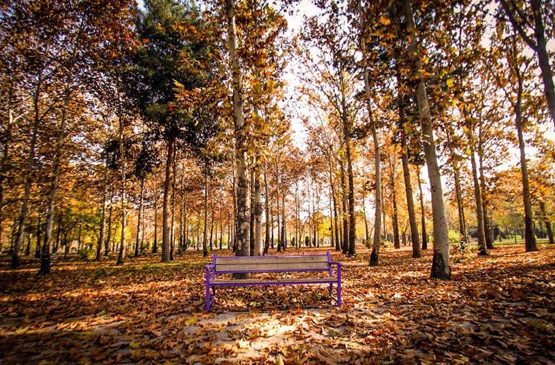 جاهای دیدنی تهران (۱۰۰ مكان گردشگری تهران با عكس و آدرس)-nSQFMSmysv