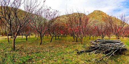 چند مكان نزدیك به تهران برای پیك نیك-nVPzEUrAh7