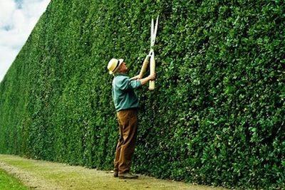چگونه آخر هفته خوبی داشته باشیم؟-nd2eVEcncZ