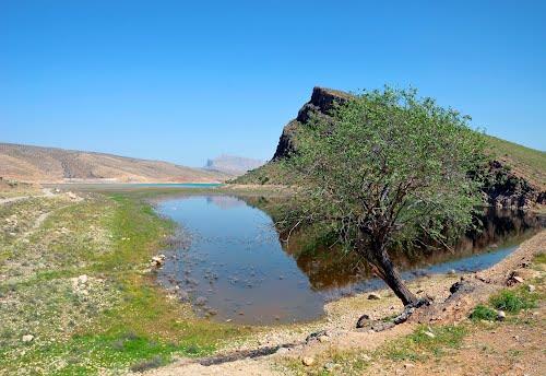 شهر بوشكان-ndYOe0GPz7