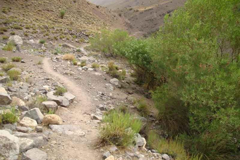 دره شنگستان-neYB6FES47