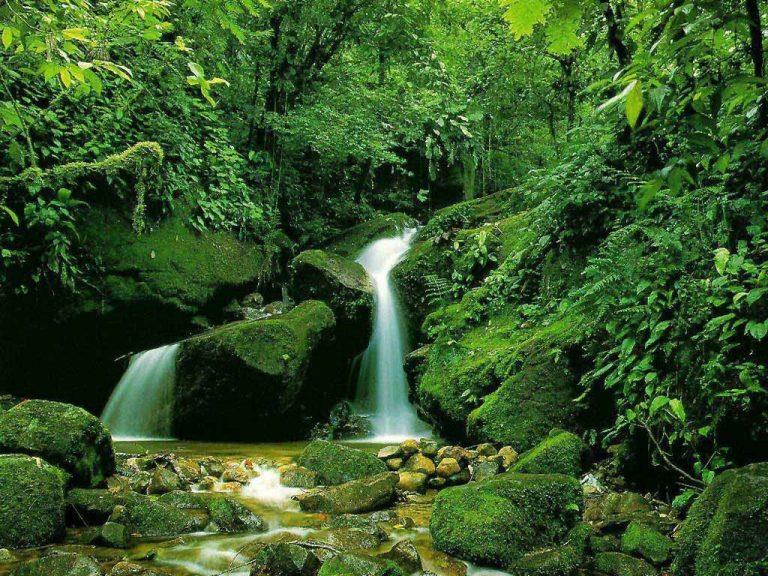 ۲۰ جای دیدنی گلستان در تابستان-nh6OJIMfgg