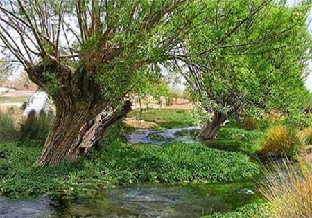 چشمه ی غربال بیز-nqbhoiUQAx