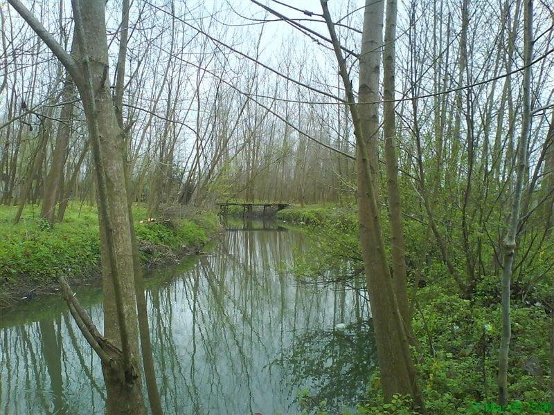 روستای تسیه خمام-nrWG0NsExS