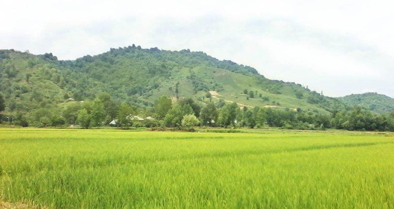 روستای گوراب پس-nxGhCZJIG2