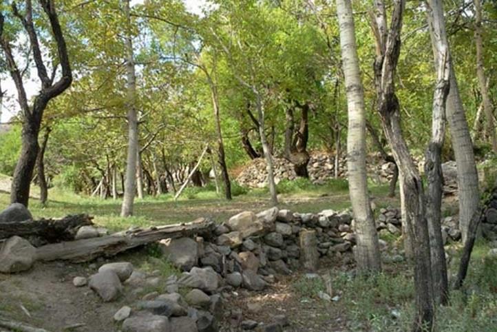 روستای مسینان-o08aeRVegR