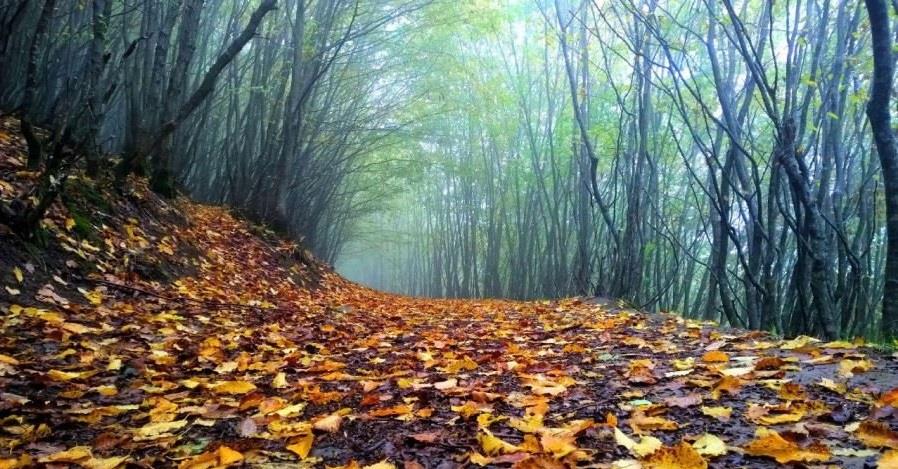 عكس های زیبا و رویایی از طبیعت شگفت انگیز ایران در فصل پاییز-o75QIarLsA