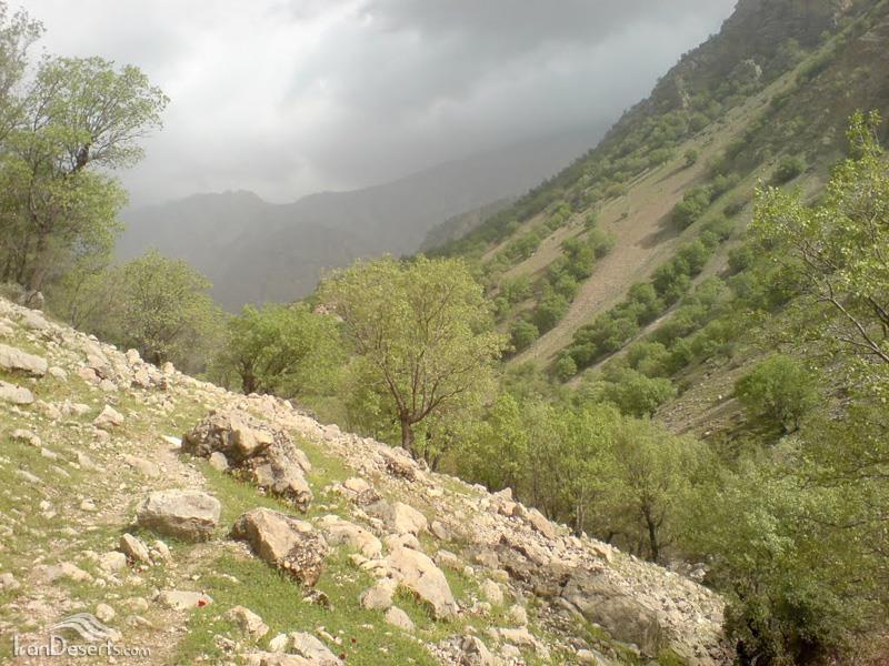 تنگ تهی-o774HH6yLK