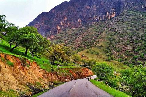 دشت سوسن-o8FOFSuDAR