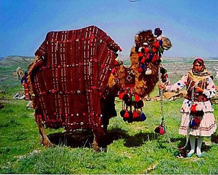 جاذبه های گردشگری ایران-oFR4cZecX8