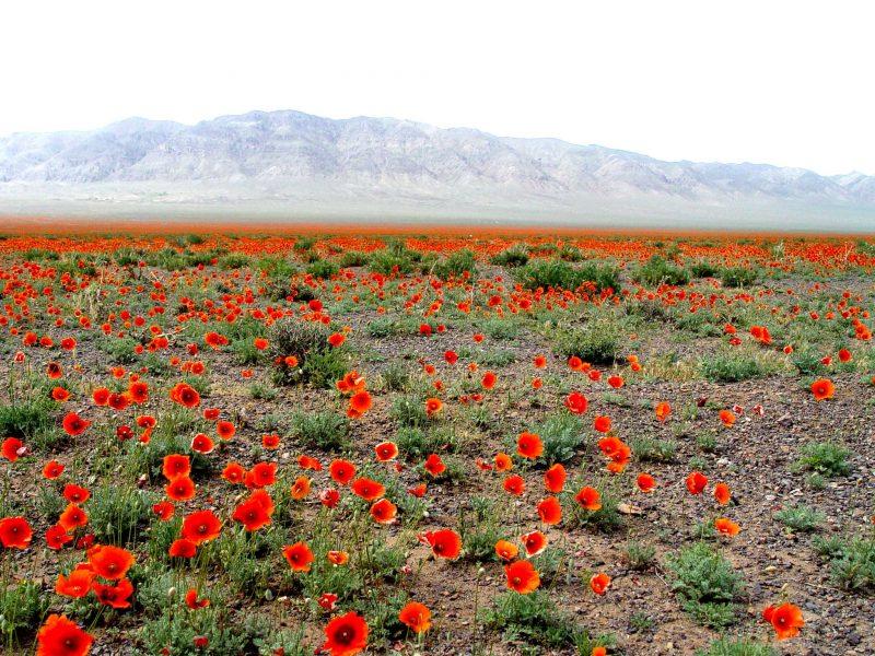 روستای گرمشت-oGP3TARucl