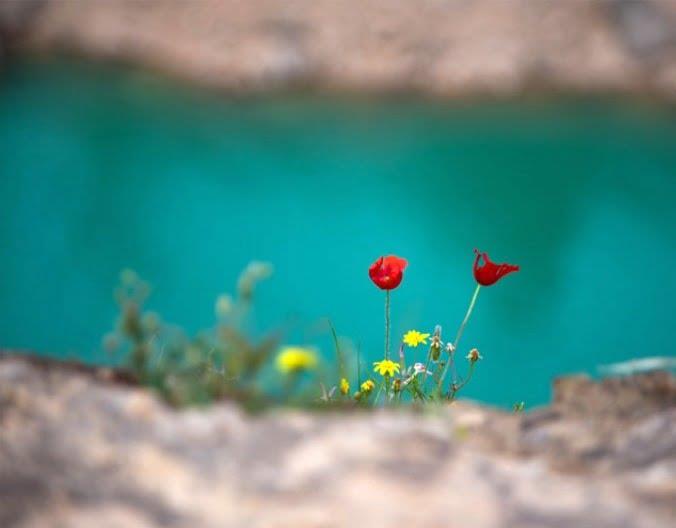 منطقه گرشگری گردو-oVtRtgt4qN