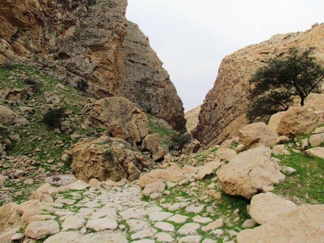 منطقه حفاظت شده خائیز بهبهان-oaGmYeggBv