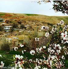 روستای ماچكه علیا-ogpxf828Xf
