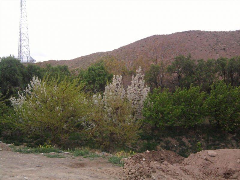 روستای بیدسكان-oikZQ3fEwt