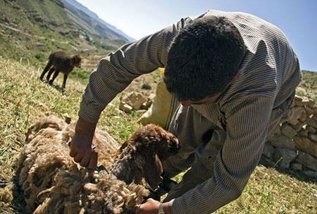 روستای بقمچ-okPd3tKtaA