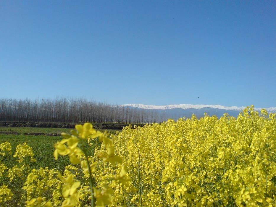 روستاهای آمل ( معرفی ۳۴۵ روستای آمل )-ol7xzZFdb6