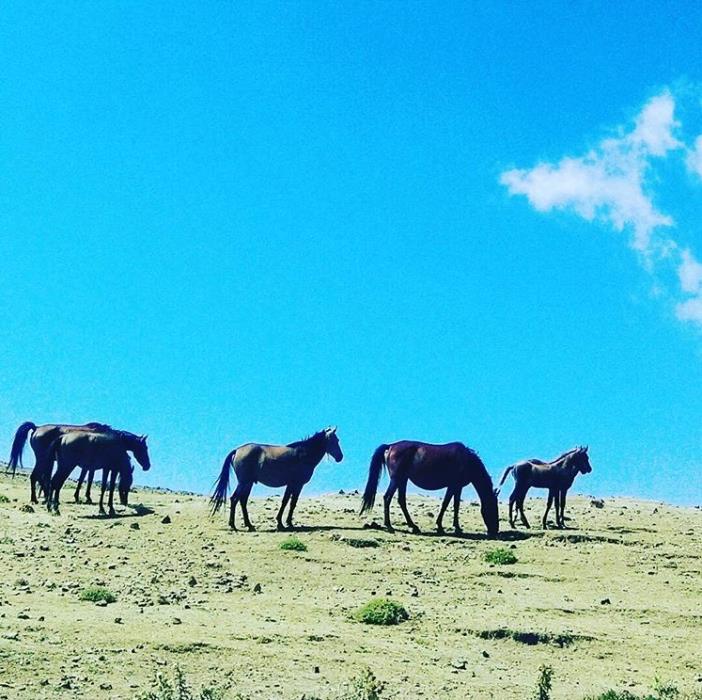 روستای سنگرج-omEQbpIMat