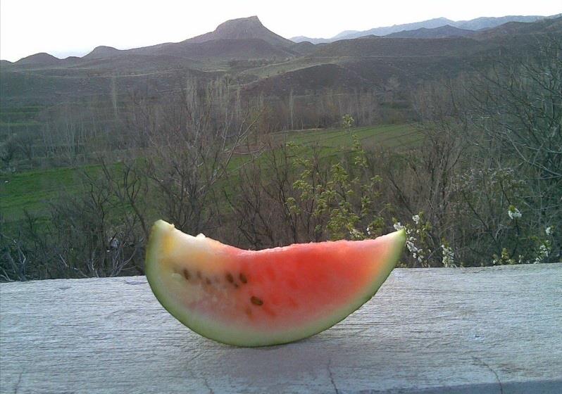 روستای بلاش آباد-oo30BYfxYD