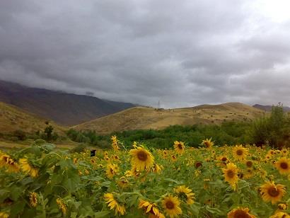 روستای وراینه-pDKZ1gF3By