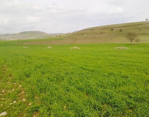 روستای تاریخی صور-pDqZWNrZtJ