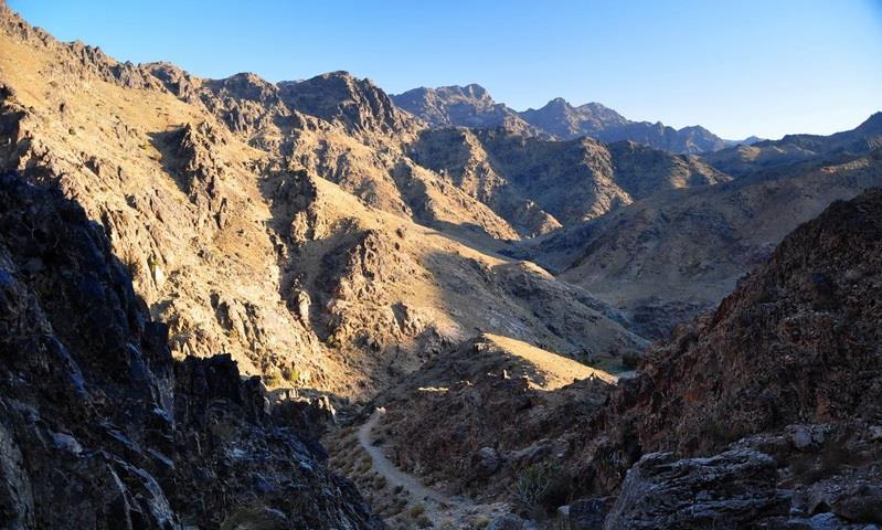 منطقه شكار ممنوع سید مرتضی-pIGJcEXrFt