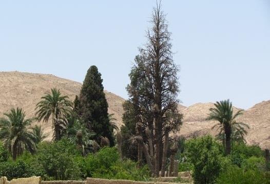 روستای اردیب-pIW1HlT6hl