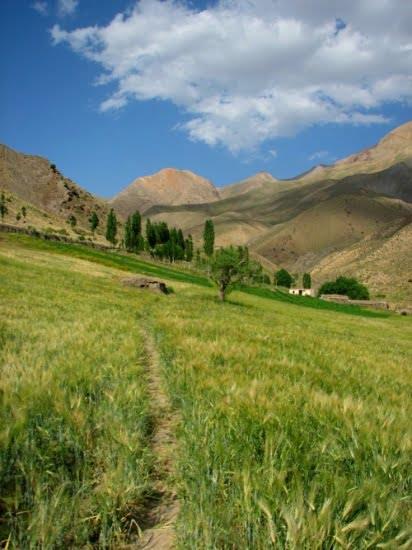 روستای تاش شاهرود-pJHdL5PIk3