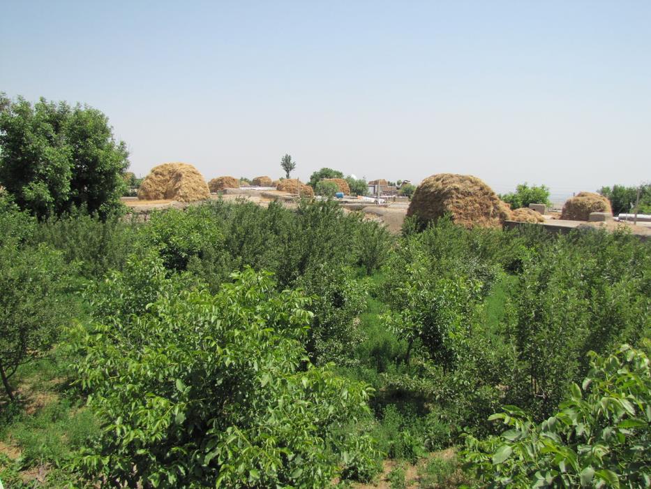 روستاهای اردبیل (معرفی ۱۶۱ روستای اردبیل )-pMS7viyKZ5