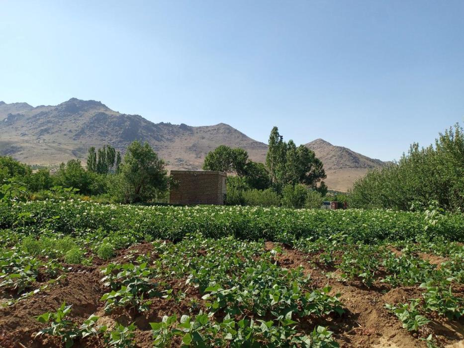 روستای وفرجین همدان-pYTaQ4TdWT