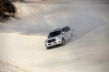 سافاری كیش-pfwcboR7hp