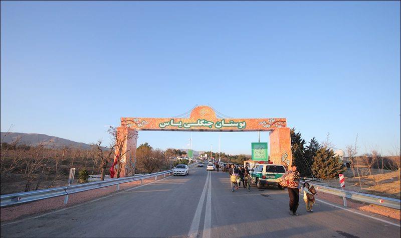 پارك جنگلی یاس-pgY34gGp3P