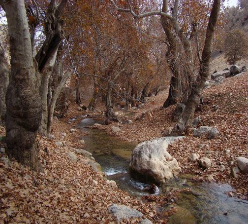روستای بسطام-pilssiI0cJ